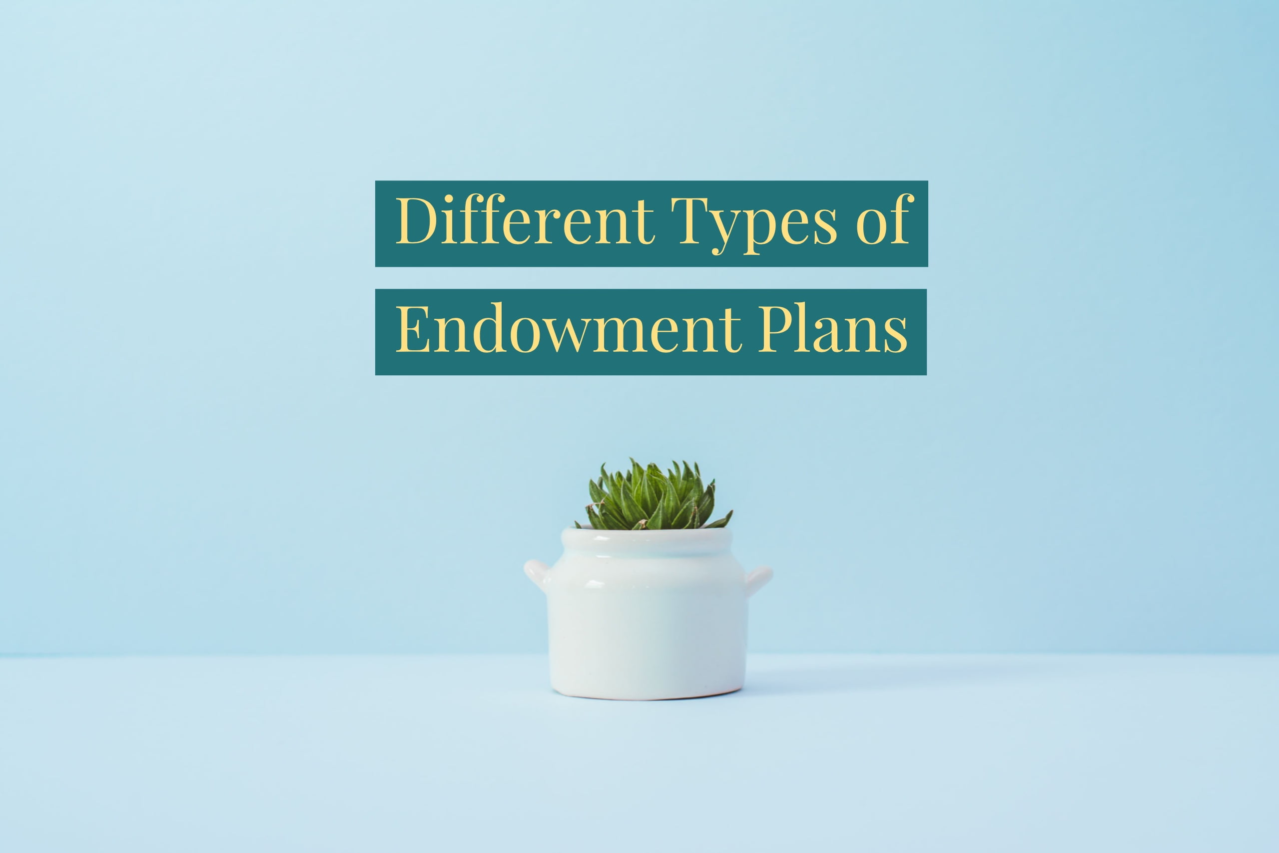 What Are The Types Of Endowment Policy