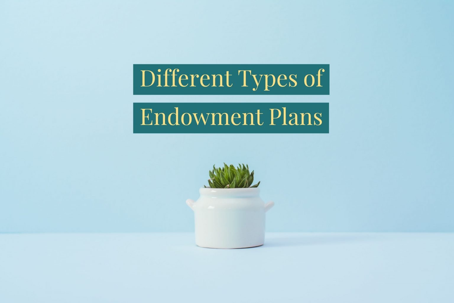 what-is-endowment-policy-the-types-of-endowment-policy-your-guide