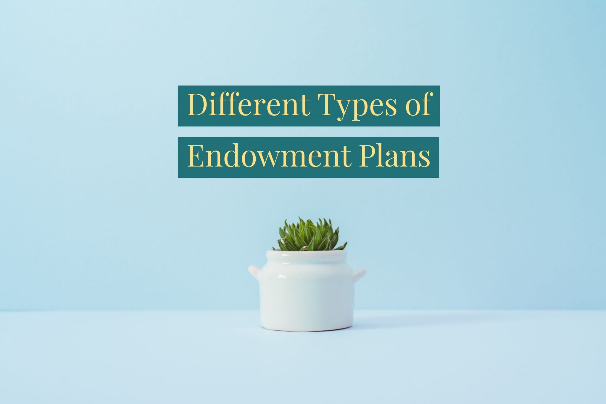 What Is Endowment Policy & The Types Of Endowment Policy HNR