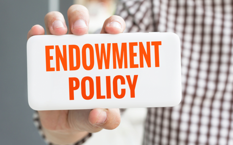 types of endowment policy