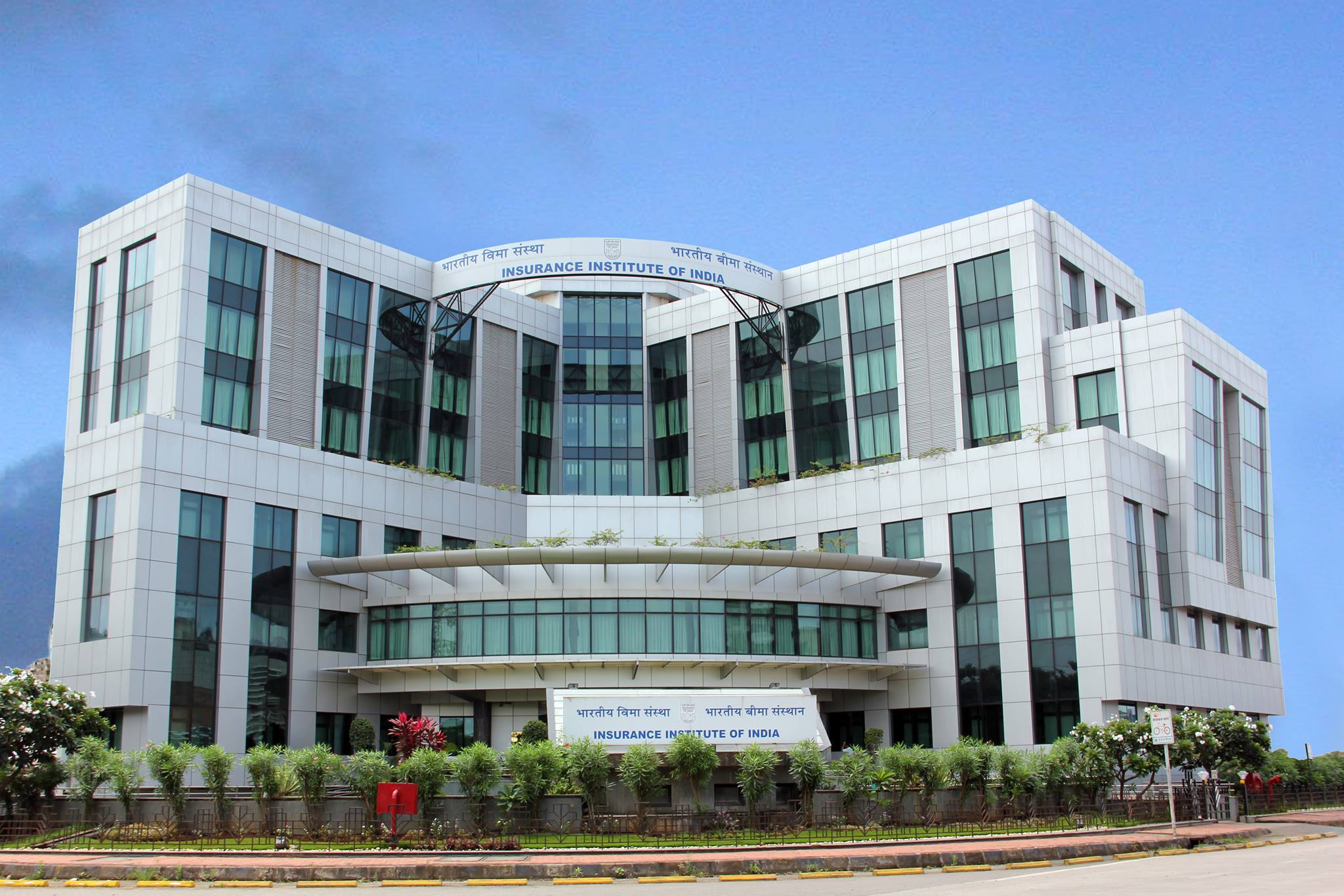 Insurance Institute Of India