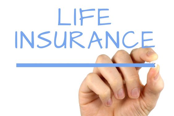 Best Life Insurance Corporation of India Plans For 5 Years