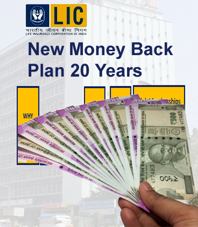 New Money Back Plan - 20 Years