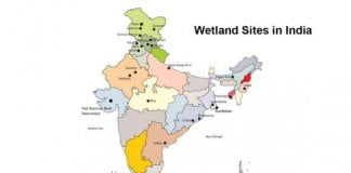 Environmental Policy And Associated Schemes Introduced For Wetlands1