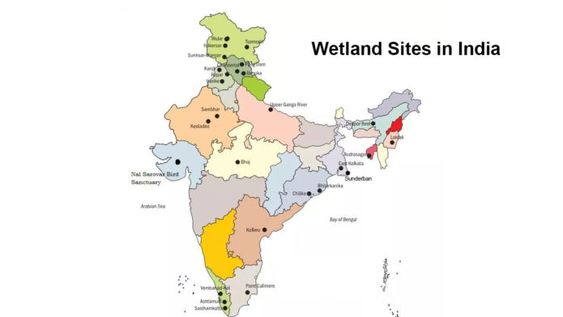 Environmental Policy And Associated Schemes Introduced For Wetlands1