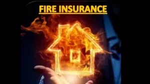 other perils damage caused to important files electronic items due to fire general insurance 
