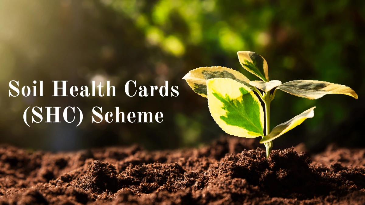 Soil Health Card