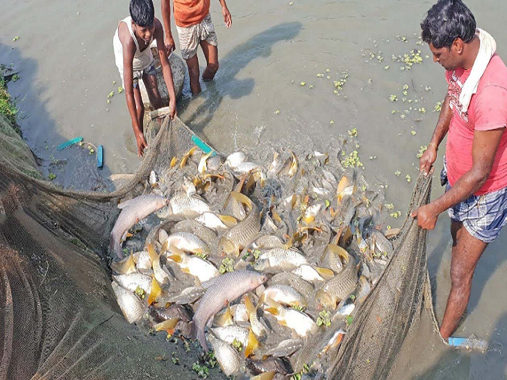 Chhattisgarh Fishing License