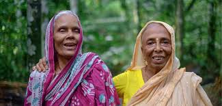 Chhattisgarh Widow Pension Certificate