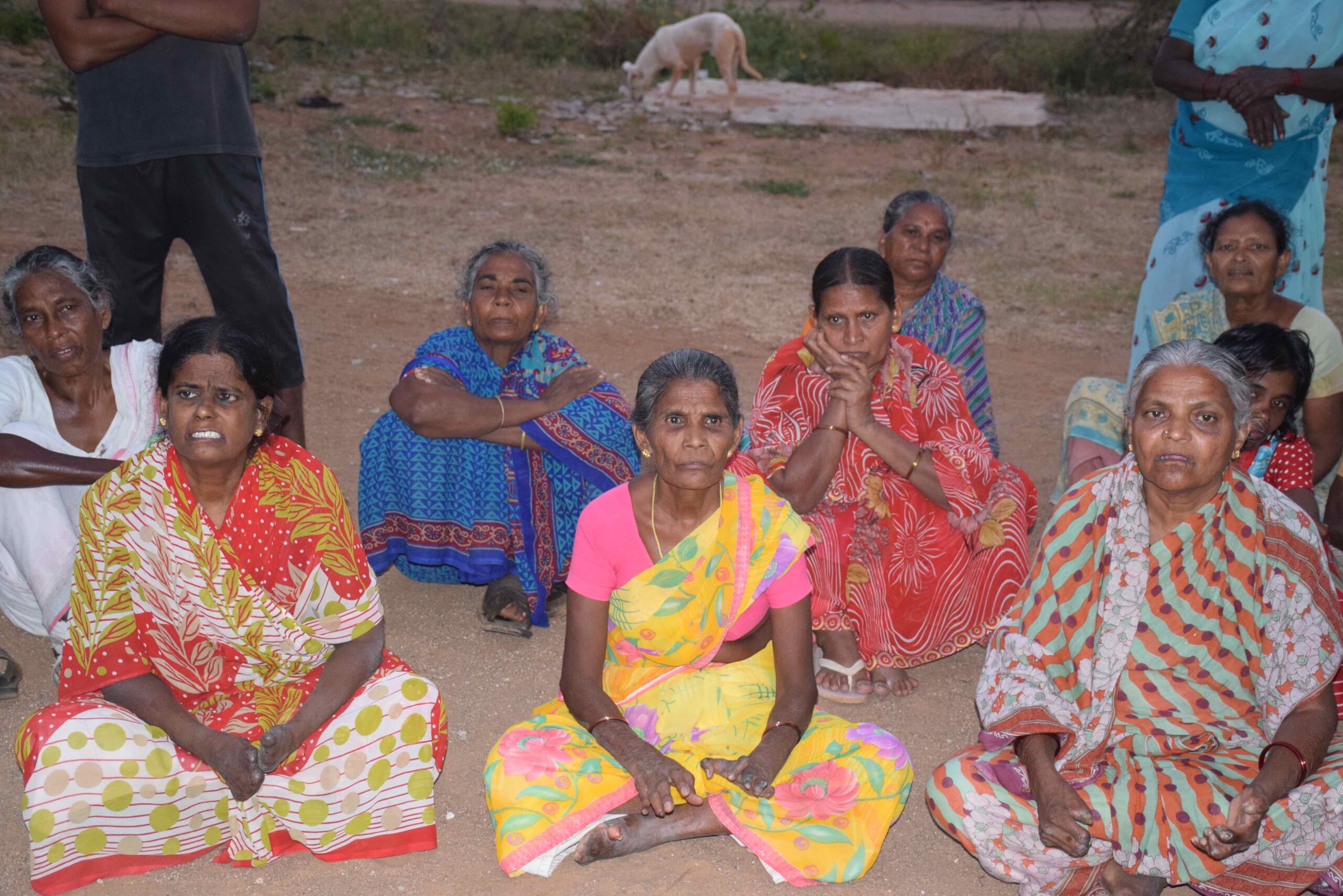 Madhya Pradesh Widow Pension Certificate