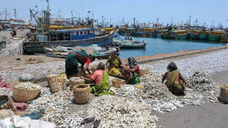Karnataka Fishing License