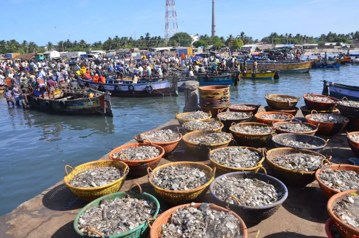 Kerala Fishing License