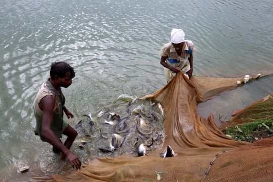 Madhya Pradesh Fishing License
