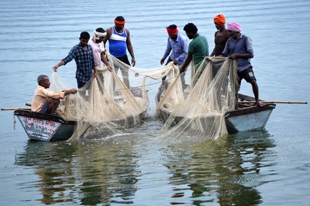Rajasthan Fishing License