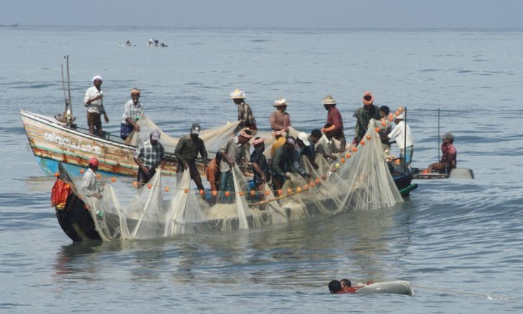 Tamil Nadu Fishing License